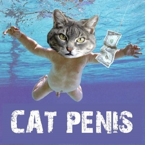 Put cat food on cock congratulate Put cat food on cock